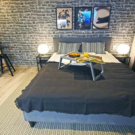 Frank-kiss Apartament Rijeka